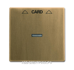 Выключатель карточный , для гостиниц, цвет Античная латунь, ABB Solo/Future
